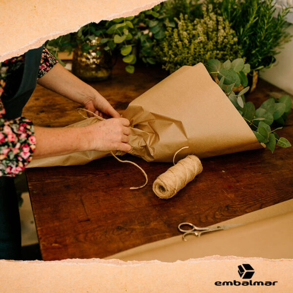 Bobinas de Papel Kraft para Embalagens.
